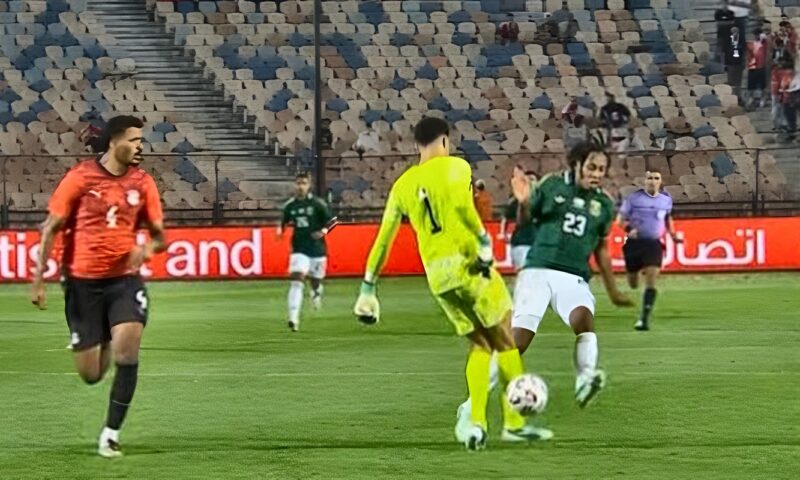 رضا عبد العال: مصطفى شوبير يتحمل مسئولية هدف جنوب إفريقيا.. وكنت أتمنى مشاركة فايد وصابر