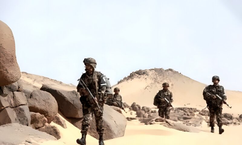 الجيش الجزائري يعلن القضاء على منقبين عن الذهب بطريقة غير شرعية