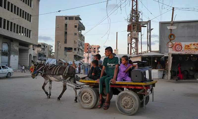 ارتفاع جنوني لأسعار الحمير في غزة .. من 1000 دولار إلى 30 ألفاً
