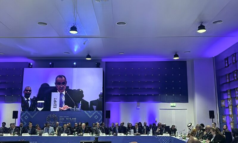 وزير الخارجية يبحث مع رئيس البنك الدولي التحديات الاقتصادية وأولويات التنمية