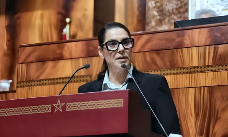 الحكومة المغربية تستهدف نموًا اقتصاديًا 5% سنويًا بين 2027 و2031