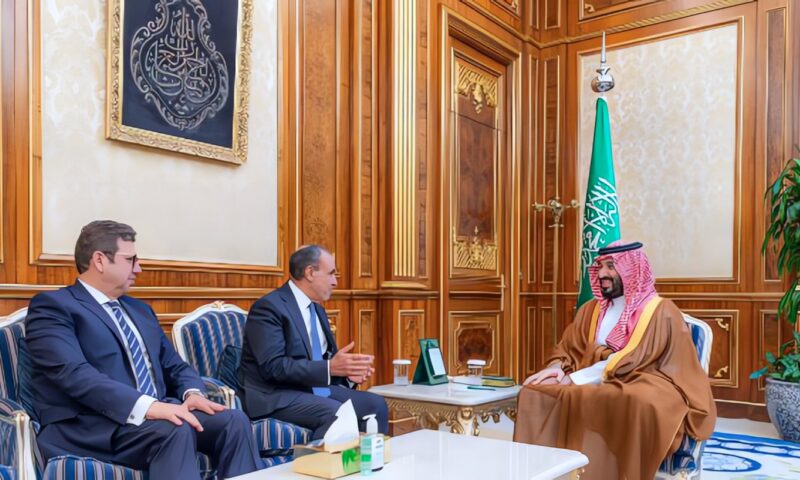 وزير الخارجية يلتقي ولي العهد السعودي ويسلمه رسالة خطية من الرئيس السيسي