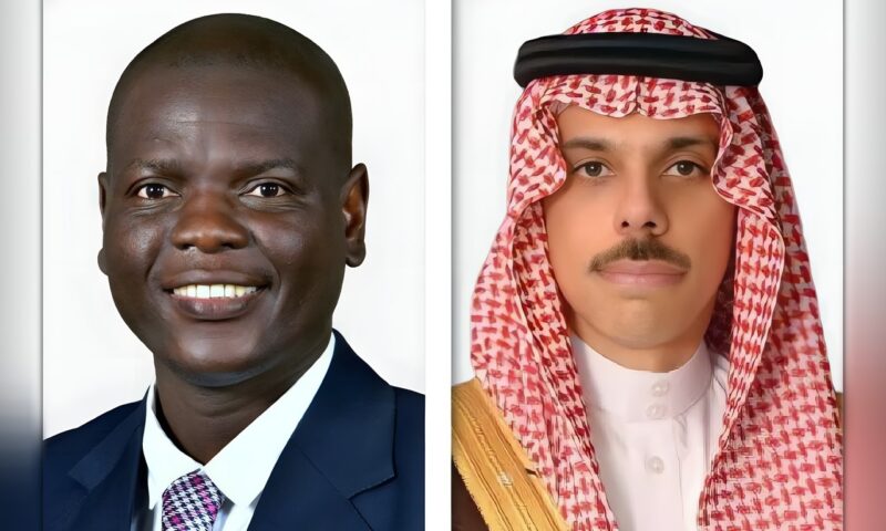 السعودية وجنوب أفريقيا تبحثان تعزيز التعاون المشترك