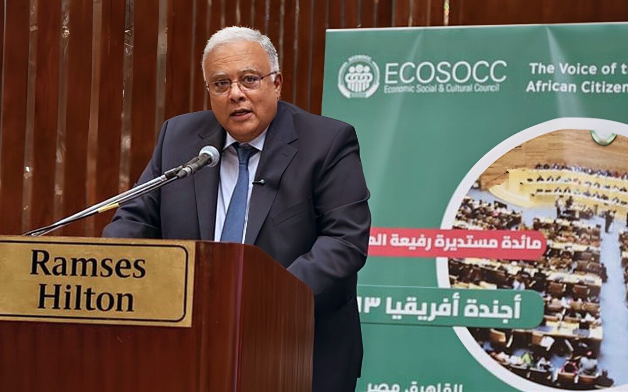 رئيس القومي لحقوق الإنسان: أجندة أفريقيا 2063 يجب أن تنتقل من الطموحات إلى التنفيذ