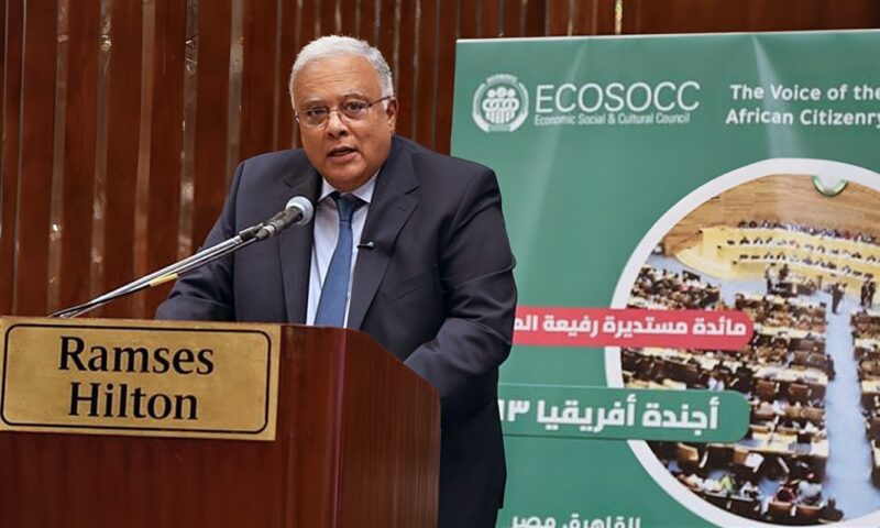 رئيس القومي لحقوق الإنسان: أجندة أفريقيا 2063 يجب أن تنتقل من الطموحات إلى التنفيذ