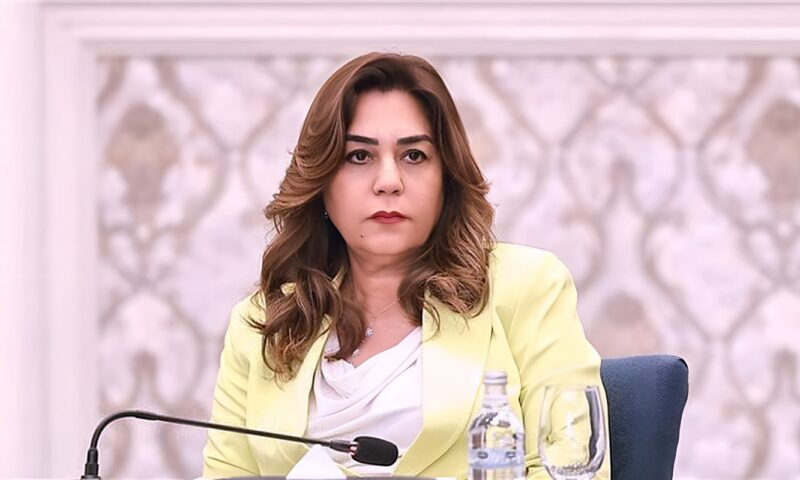 4 برامج تدريبية جديدة لتطوير العاملين بالمحليات