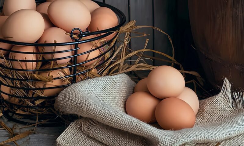 تبدأ من 110 جنيهات، سعر كرتونة البيض اليوم الجمعة في بورصة الدواجن