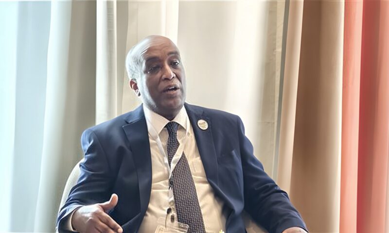 قمة العلمين تضع التنمية والتجارة والاستثمار في إفريقيا على طاولة الحوار.. ومشاركة واسعة من الدول والقطاع الخاص والمؤسسات المالية