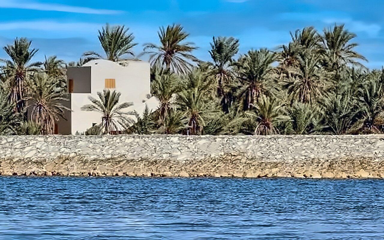 مياه سيوة بين خطرين.. استنزاف الخزان الجوفي وارتفاع مناسيب الصرف