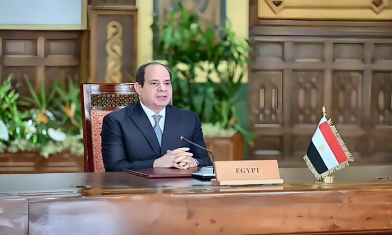السيسي يبحث فرص التعاون مع مجموعة دانجوتي في الطاقة والأسمدة والكيماويات والأسمنت