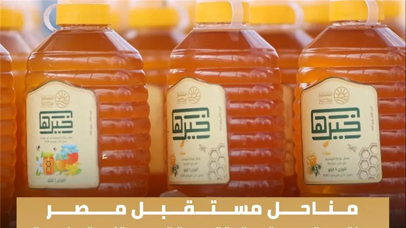 “مناحل مستقبل مصر”.. رؤية متكاملة لتطوير إنتاج العسل وتعظيم الاستفادة من الموارد الزراعية