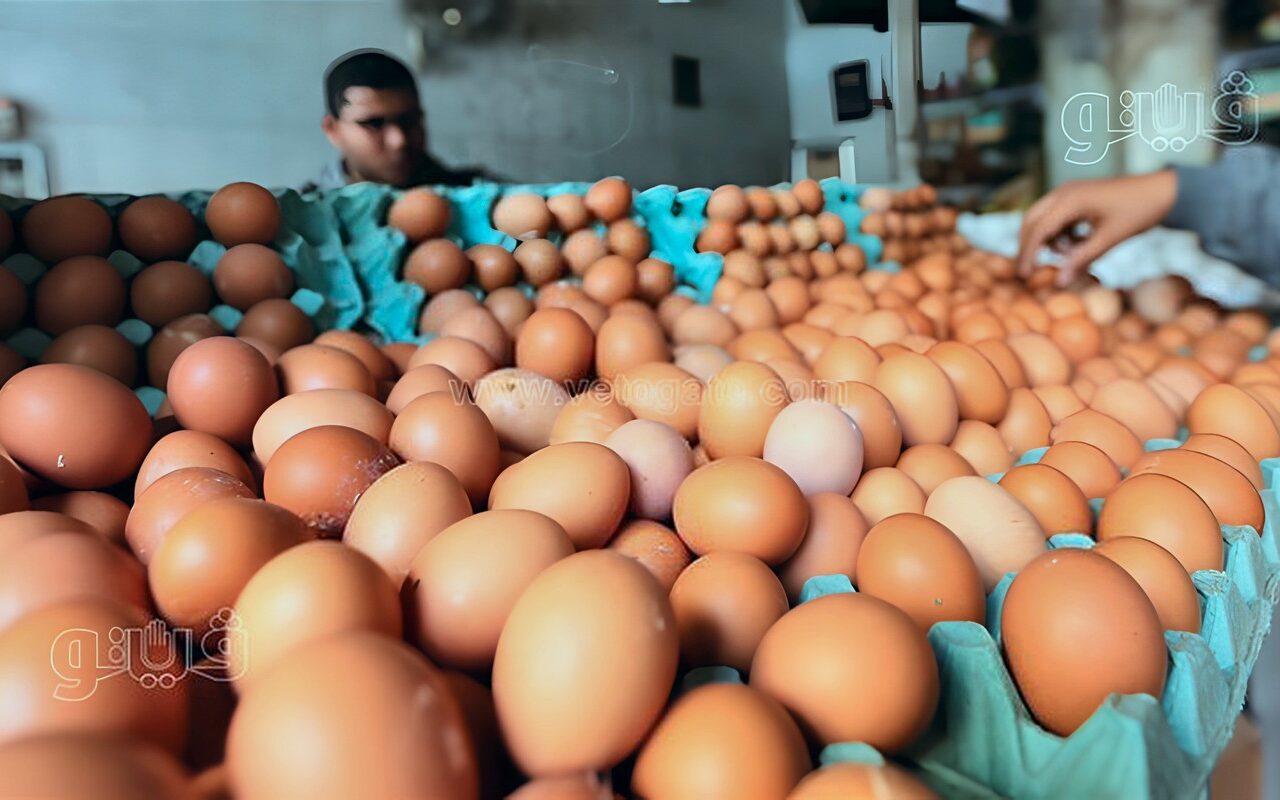 سعر كرتونة البيض اليوم الإثنين في بورصة الدواجن