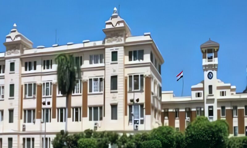 إحالة مسؤولي جمعية مصر الجديدة للنيابة بسبب القطع الجائر لأشجار حديقة الطفل