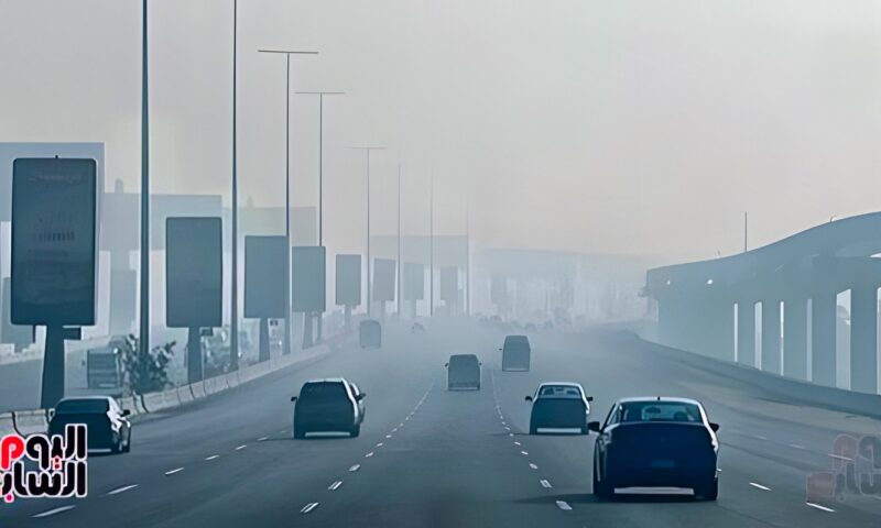 الطقس غدا.. أجواء مائلة للبرودة ليلاً وأمطار وشبورة صباحا والصغرى بالقاهرة 20 درجة
