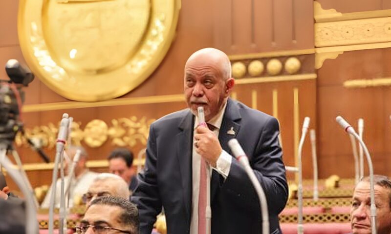 النائب حازم الجندي: الشائعات والعبث بالوعي تهديد لاستقرار الدولة