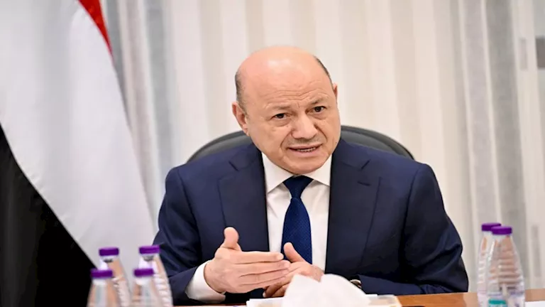 العليمي: مصر والسعودية جناحا الأمن القومي العربي ووحدتهما تصنع السلام المنشود