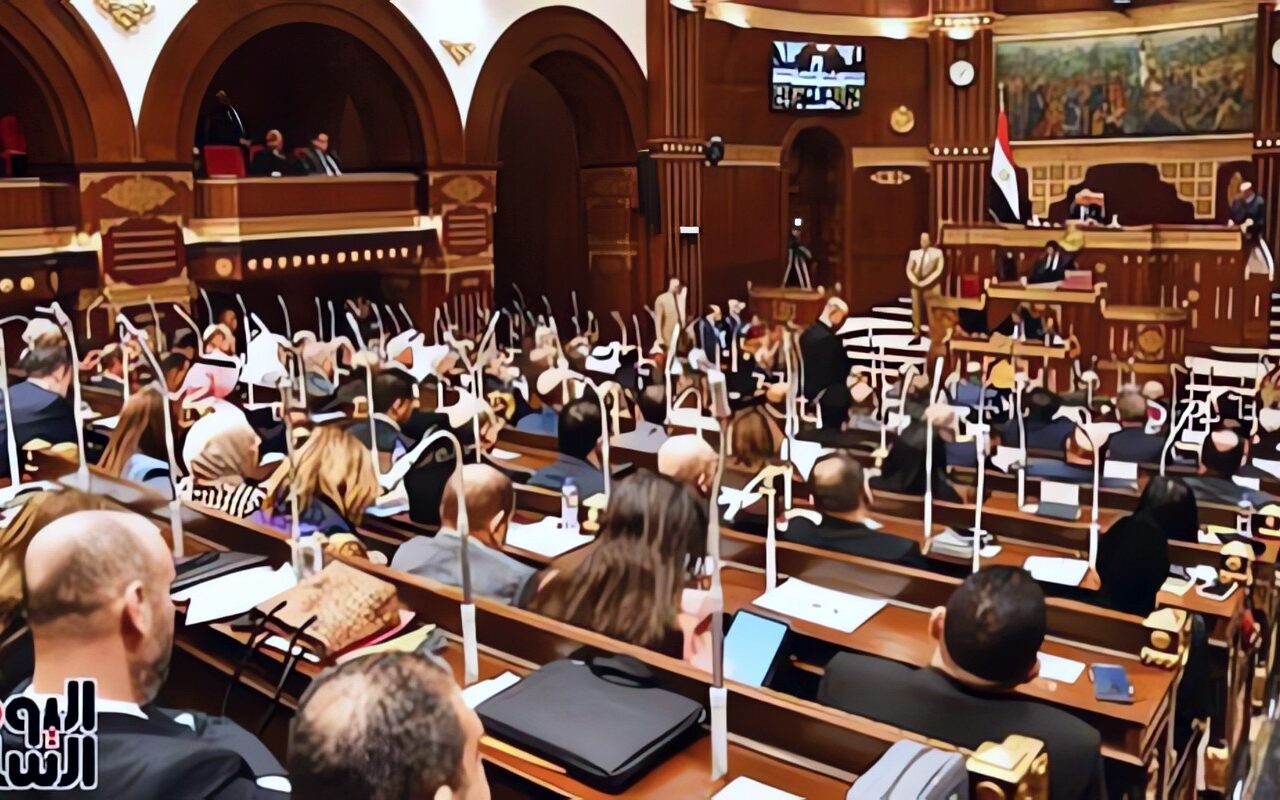 النائب زين العابدين كامل يستعرض طلب مناقشة بشأن ضبط الأسواق أمام مجلس الشيوخ