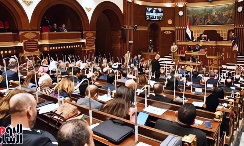 النائب زين العابدين كامل يستعرض طلب مناقشة بشأن ضبط الأسواق أمام مجلس الشيوخ