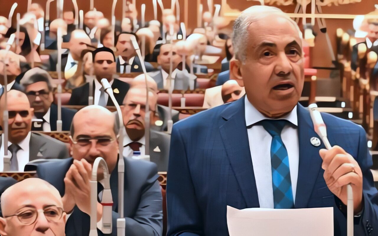 معركة تأمين غذاء المصريين.. “وكيل الشيوخ” : منظومة قوية لامتصاص الصدمات الخارجية وحماية الأسواق