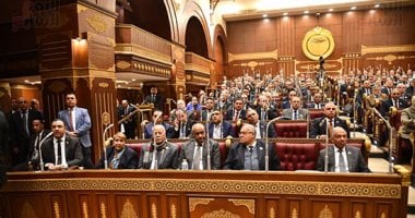 برلماني: مشاركة فخامة الرئيس في القمة الروسية الأفريقية تفتح آفاقًا جديدة