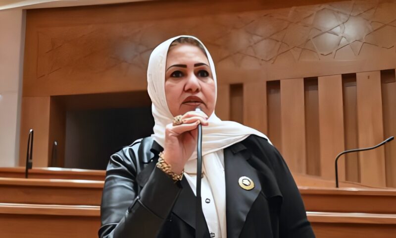 سحر صدقى: مصر لن تقف مكتوفة الأيدى أمام أى تهديد يمس الأشقاء