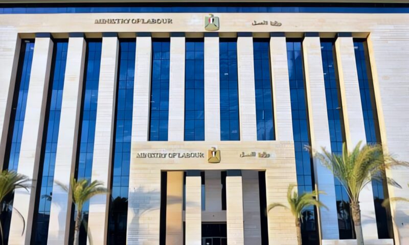 وزارة العمل تعلن عن فرص عمل للصيادلة برواتب تصل إلى 30 ألف جنيه
