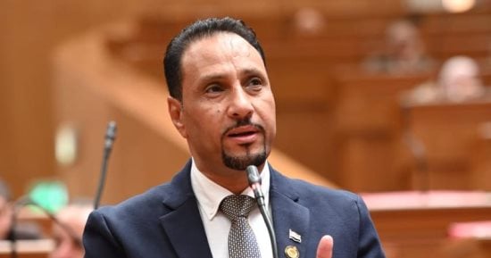 النائب جرجس لاوندي: منتدى مصر 2026 فرصة لتعزيز تنافسية الاقتصاد