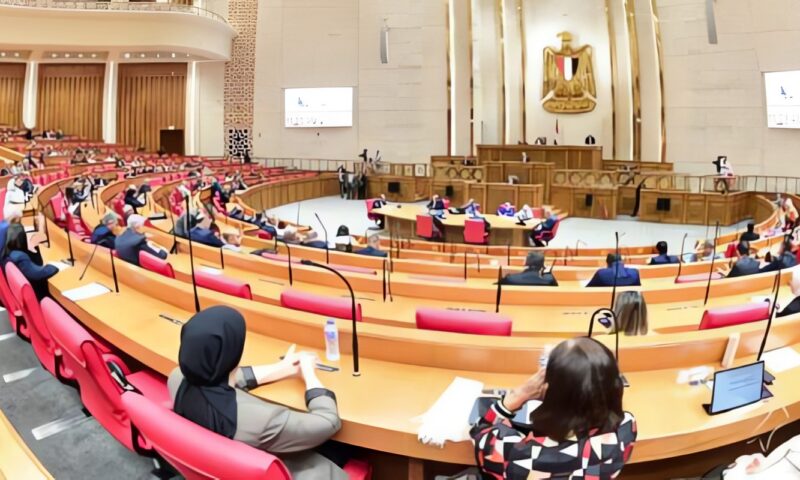 خطة النواب توافق من حيث المبدأ على مشروع قانون لإعفاء سيارات من الضرائب