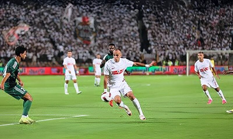 الشئون القانونية بالزمالك تدرس تقرير مدير الكرة فى أزمة ناصر منسى