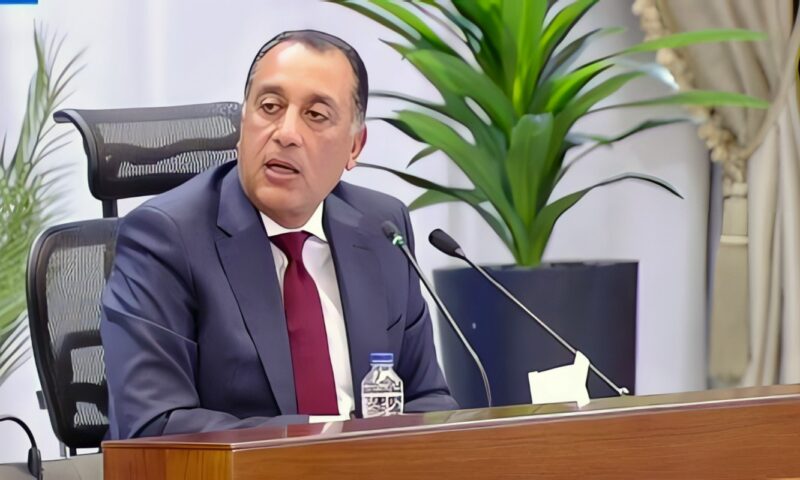 الجريدة الرسمية تنشر قرار رئيس الحكومة بإنشاء ميناء بحرى تخصصى سياحى دولى بمنطقة خليج القرش