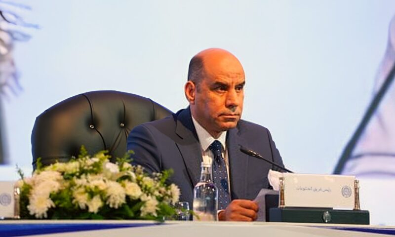 رواتب تصل لـ20 ألف جنيه.. وزارة العمل تعلن عن 1095 فرصة عمل بالأمن والحراسة