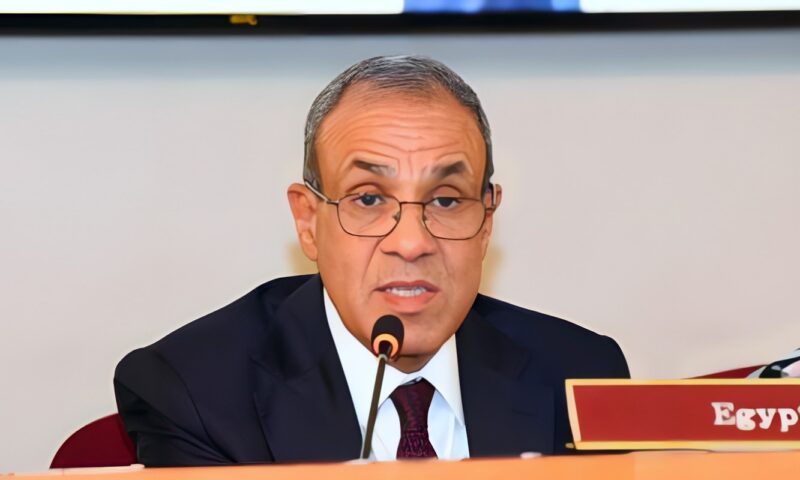 وزير الخارجية يناقش ملفات إقليمية مع نظيره الإماراتى ويثمن ترشح نسيبة للأمم المتحدة