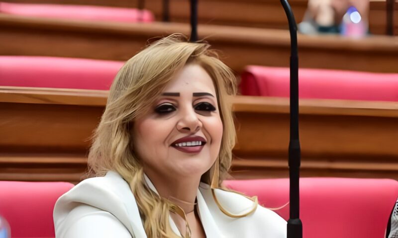عضو بخارجية النواب: سيادة مصر على كامل أراضيها خط أحمر