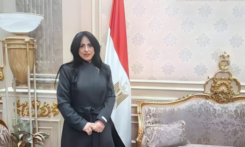 النائبة ميرال الهريدى: تحركات الرئيس السيسى لحماية الخليج تجسد قوة الدولة المصرية
