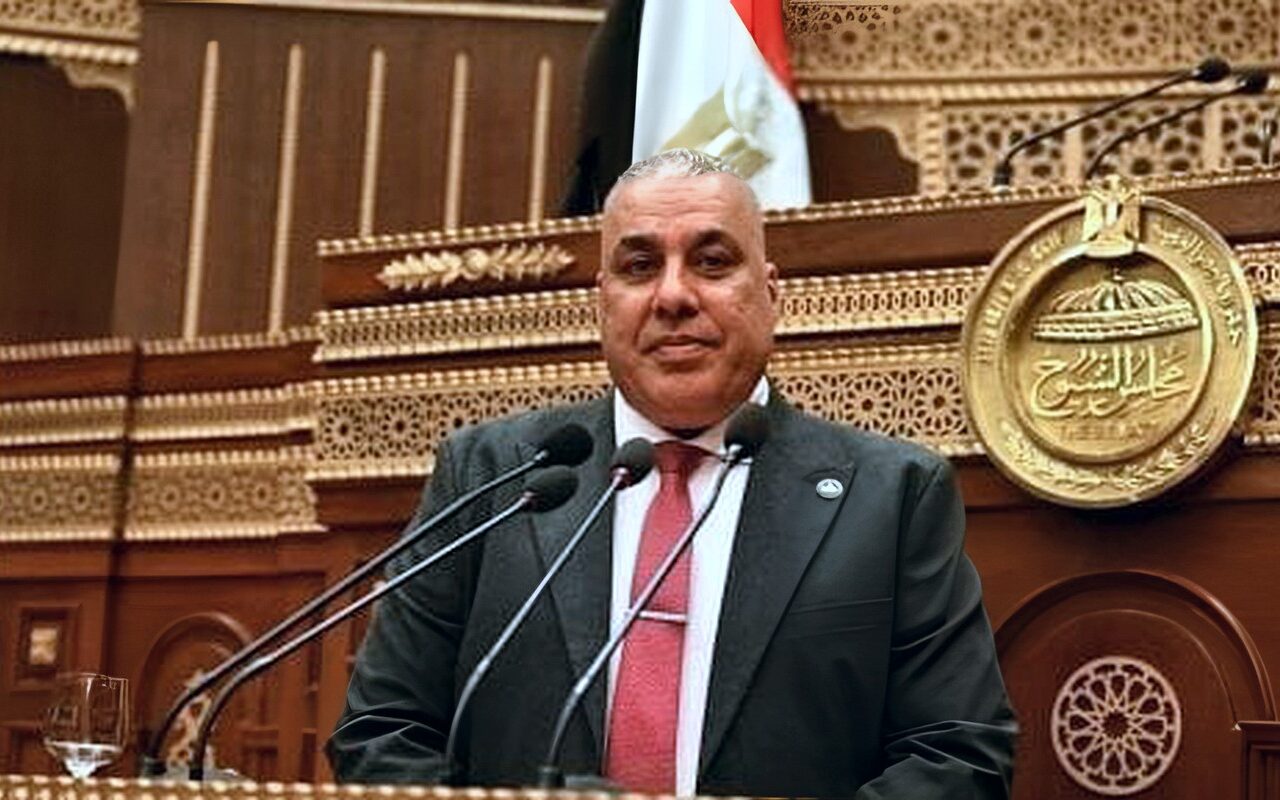 النائب محمد أبو النصر: الإخوان الإرهابية توظف المنصات المزيفة للنيل من الدولة