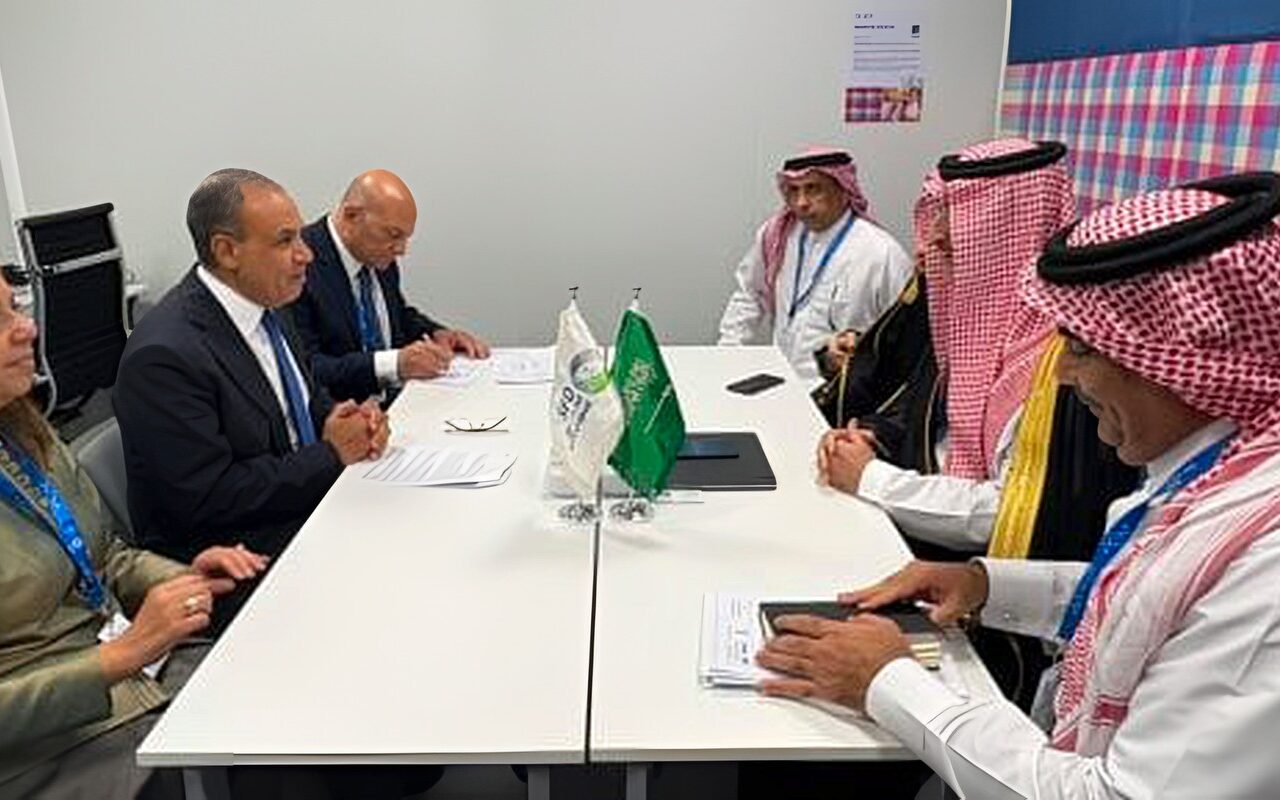 وزير الخارجية يلتقى الرئيس التنفيذى للصندوق السعودى للتنمية