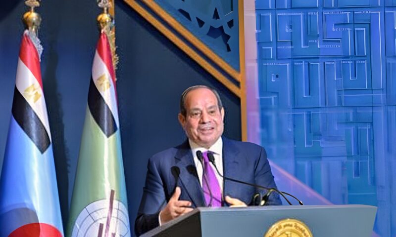 الرئيس السيسى يستعيد تصريح 2014 مع لميس وعيسى: ليس أمامنا سوى العمل والصبر