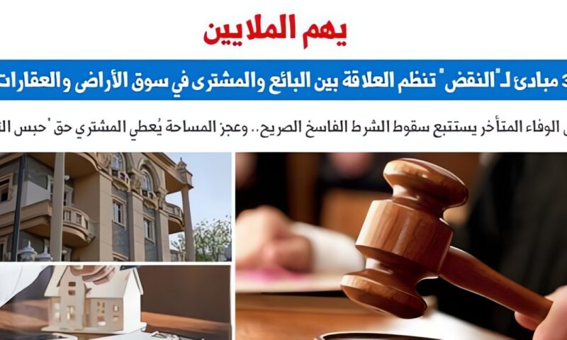 3 مبادئ لـ”النقض” تنظم العلاقة بين البائع والمشترى في سوق الأراضى والعقارات