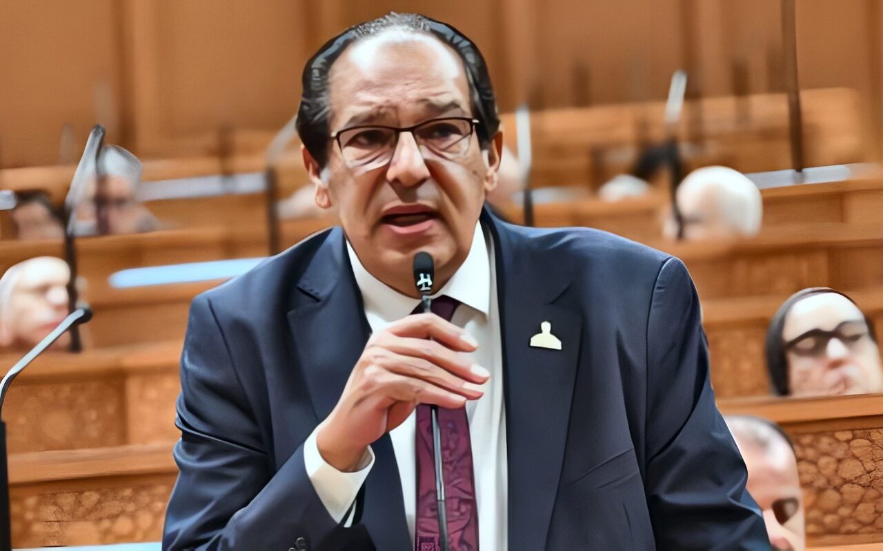 النائب حسام الخولى: الدولة قدمت تسهيلات كبيرة للمشروعات المتوسطة والصغيرة