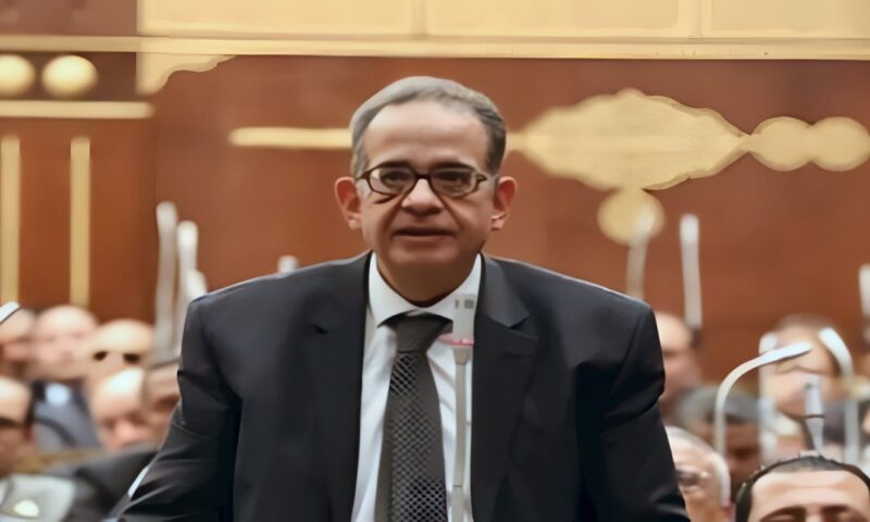 برلمانية الوفد بالشيوخ تطالب بتقييم شامل لأداء بنك الاستثمار القومى