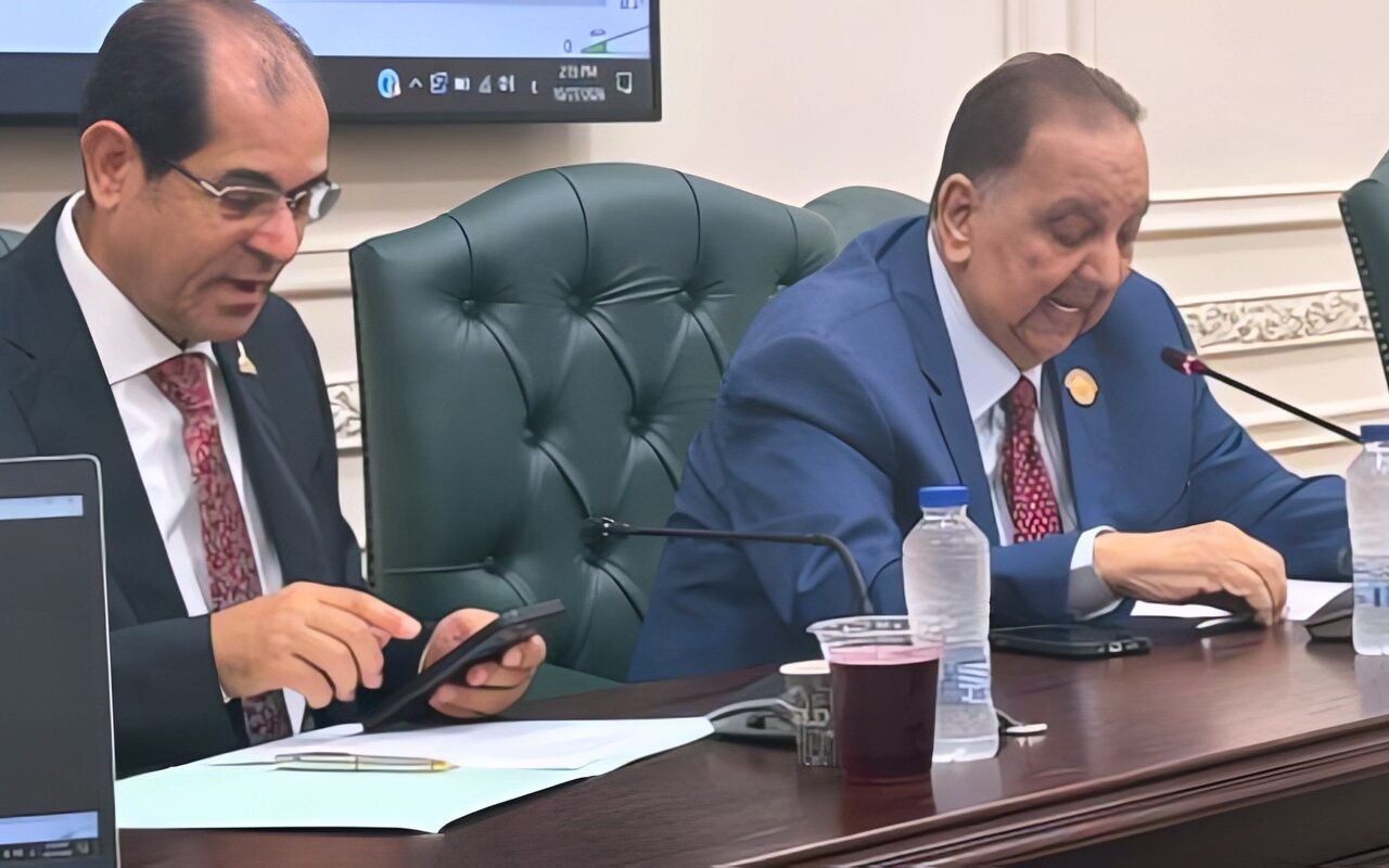 من الفصول الدراسية إلى الفضاء الرقمي.. برلماني يطرح رؤية لإنقاذ لغة الضاد