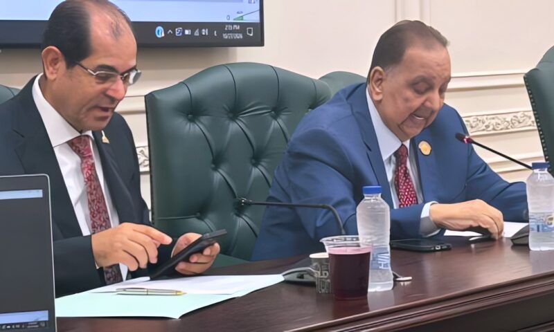 من الفصول الدراسية إلى الفضاء الرقمي.. برلماني يطرح رؤية لإنقاذ لغة الضاد