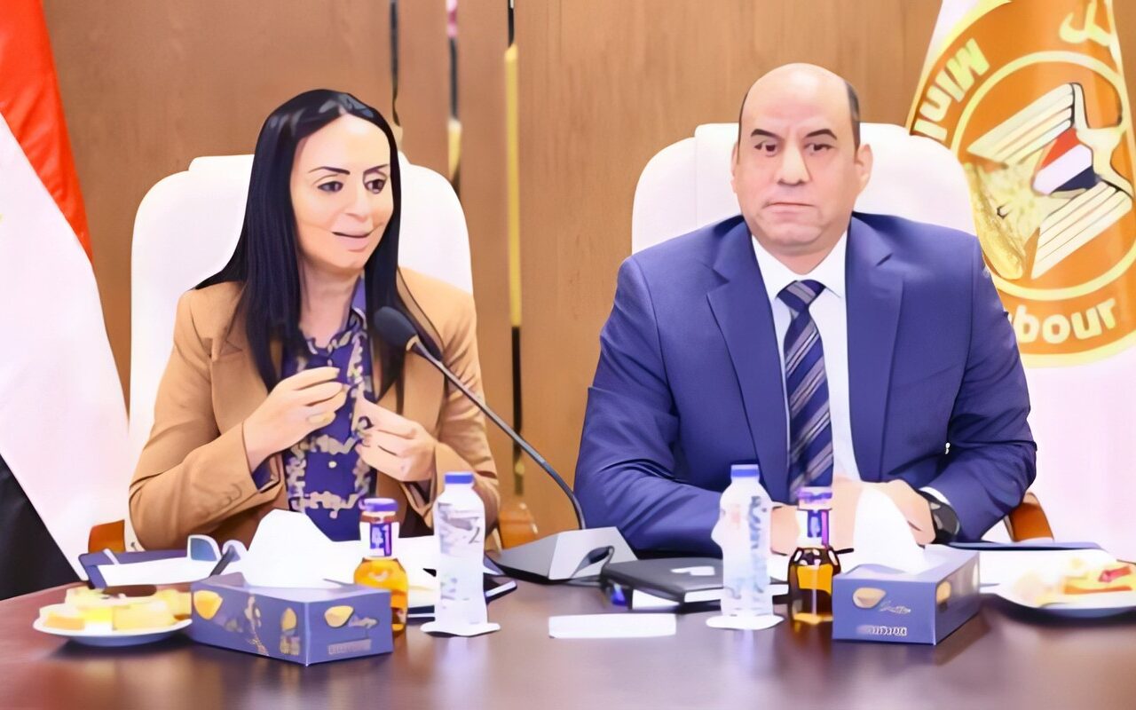 وزيرا العمل والتضامن يبحثان تقديم حوافز لتشجيع العمالة غير المنتظمة