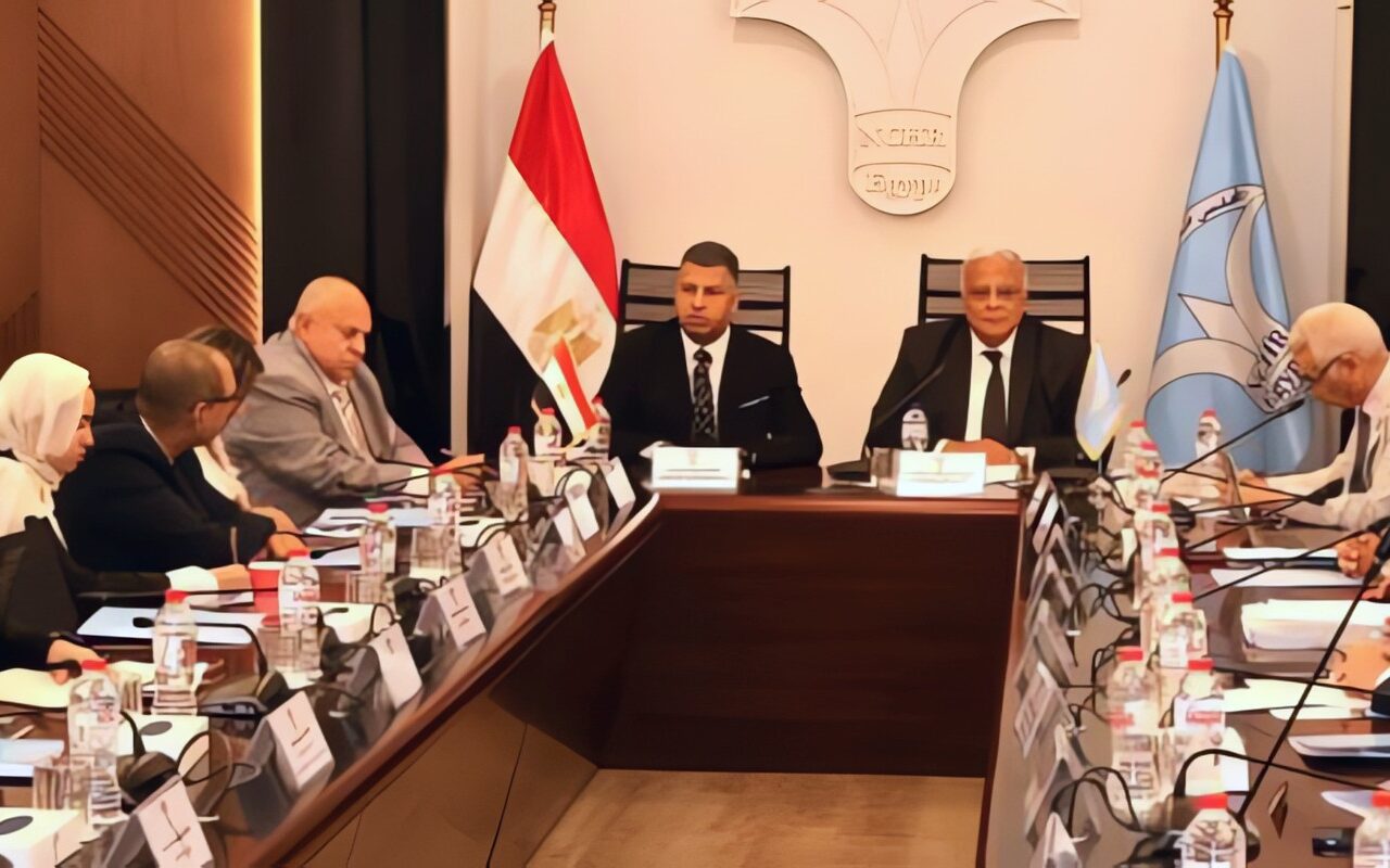 الصديقية عضو التحالف الوطني تشارك في جلسة خبراء حول الأعمال التجارية وحقوق الإنسان