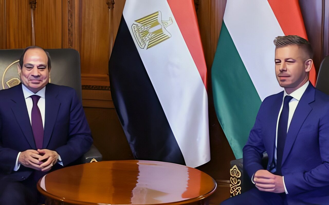 فخامة الرئيس السيسى: تهجير الفلسطينيين ستكون له تداعيات وخيمة تمتد لأوروبا