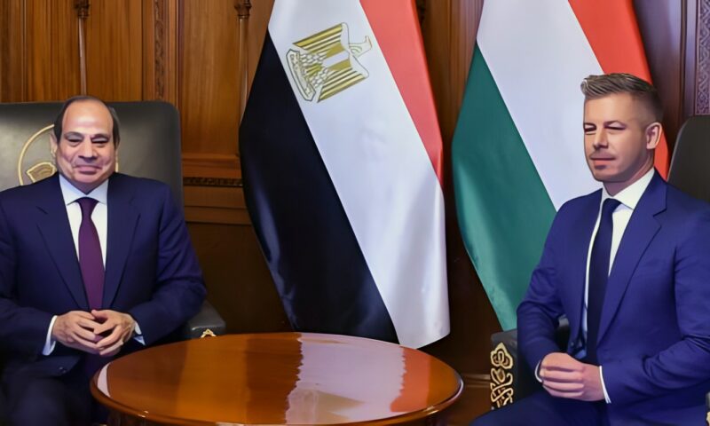 فخامة الرئيس السيسى: تهجير الفلسطينيين ستكون له تداعيات وخيمة تمتد لأوروبا