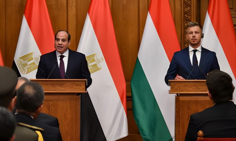 فخامة الرئيس السيسى: لا استقرار دون احترام سيادة الدول والالتزام بقواعد القانون الدولى