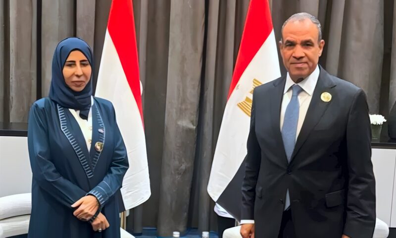 وزير الخارجية يؤكد تمسك مصر بوحدة اليمن
