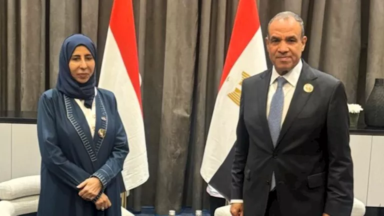 وزير الخارجية يؤكد تمسك مصر بوحدة اليمن