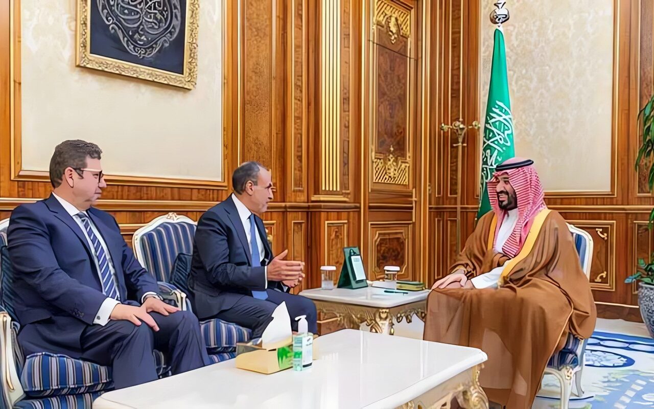 وزير الخارجية يسلم ولي العهد السعودي رسالة من الرئيس السيسي إلى خادم الحرمين الشريفين